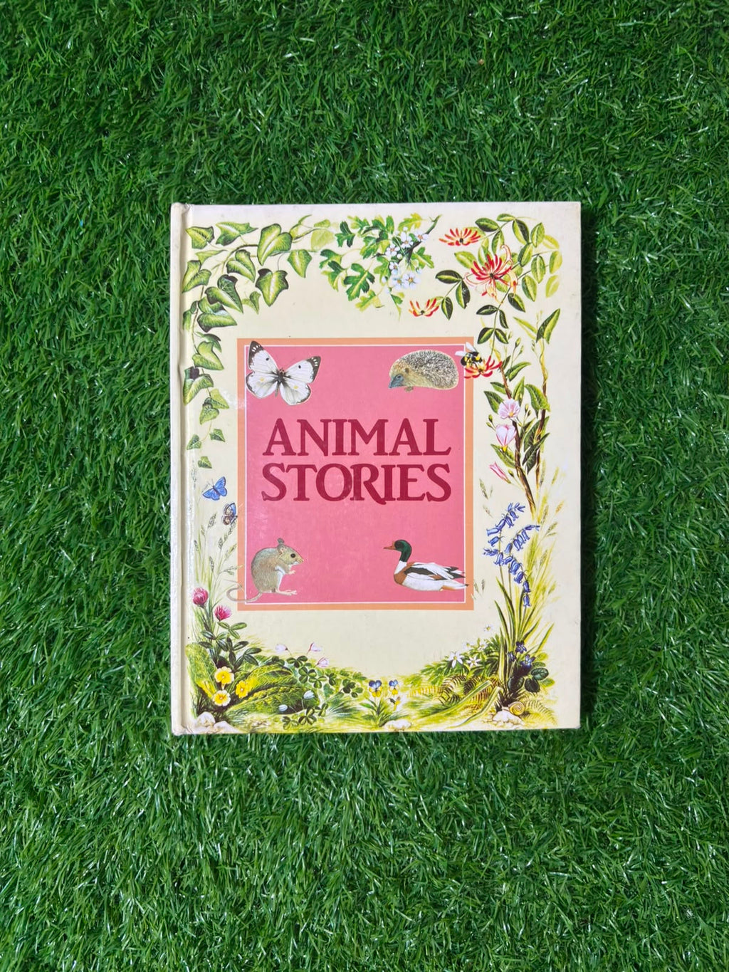 Animal Stories by Angela Sheehan