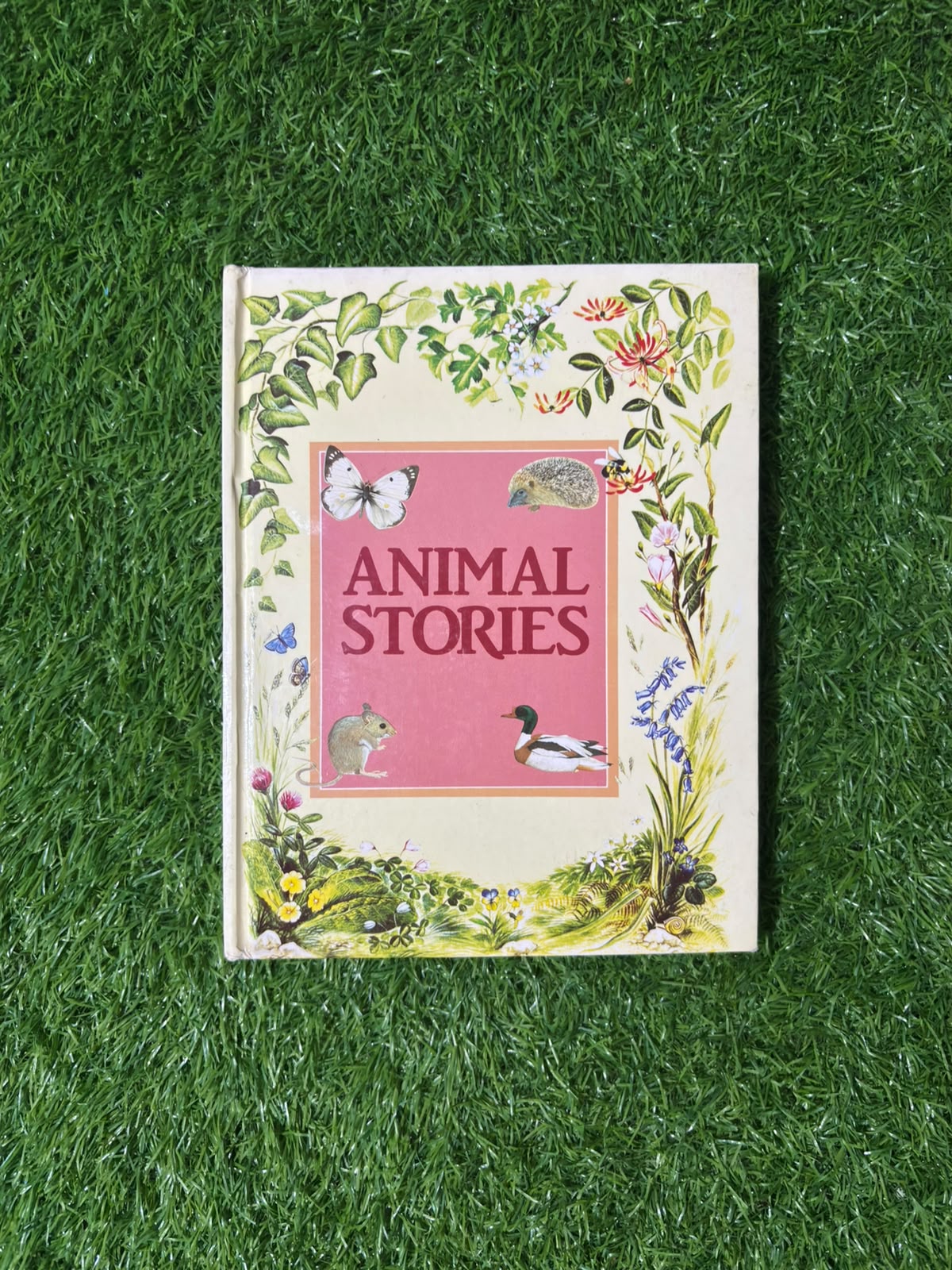 Animal Stories by Angela Sheehan