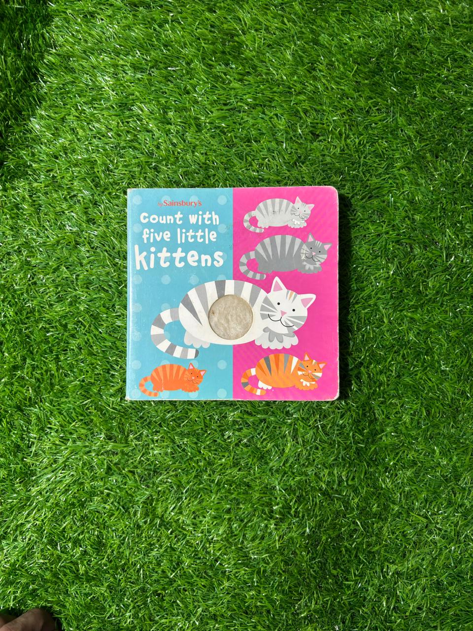 Count With Five Little Kittens Preloved Board Book