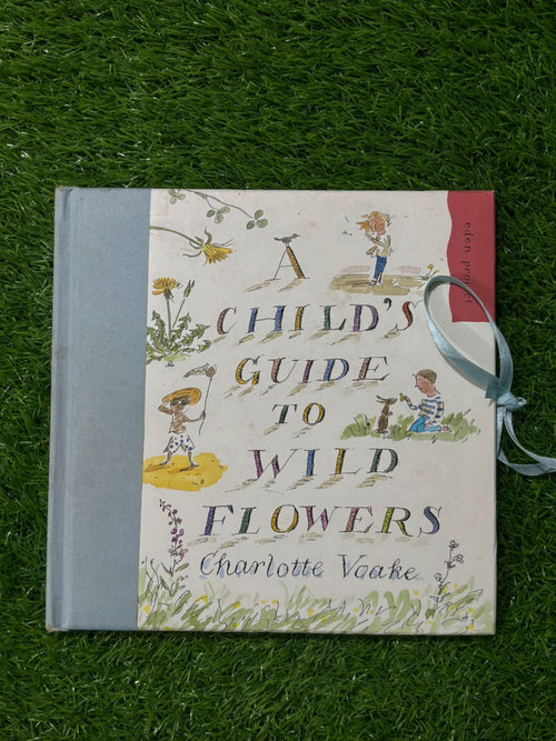 A Little Guide To Wild Flowers