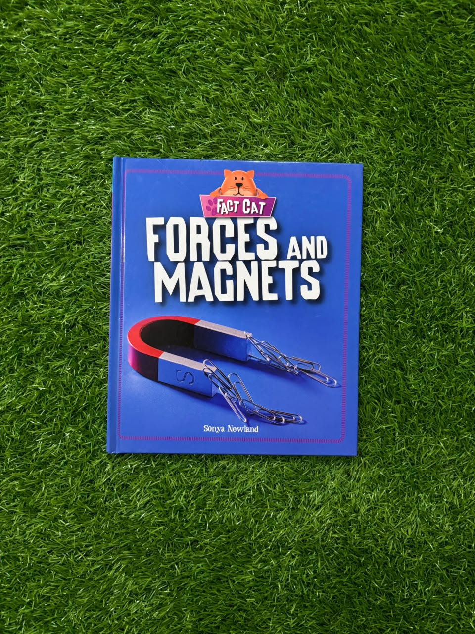 Fact Cat: Science: Forces and Magnets