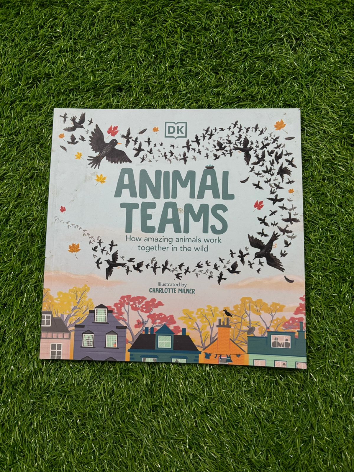Animal Teams: How Amazing Animals Work Together in the Wild