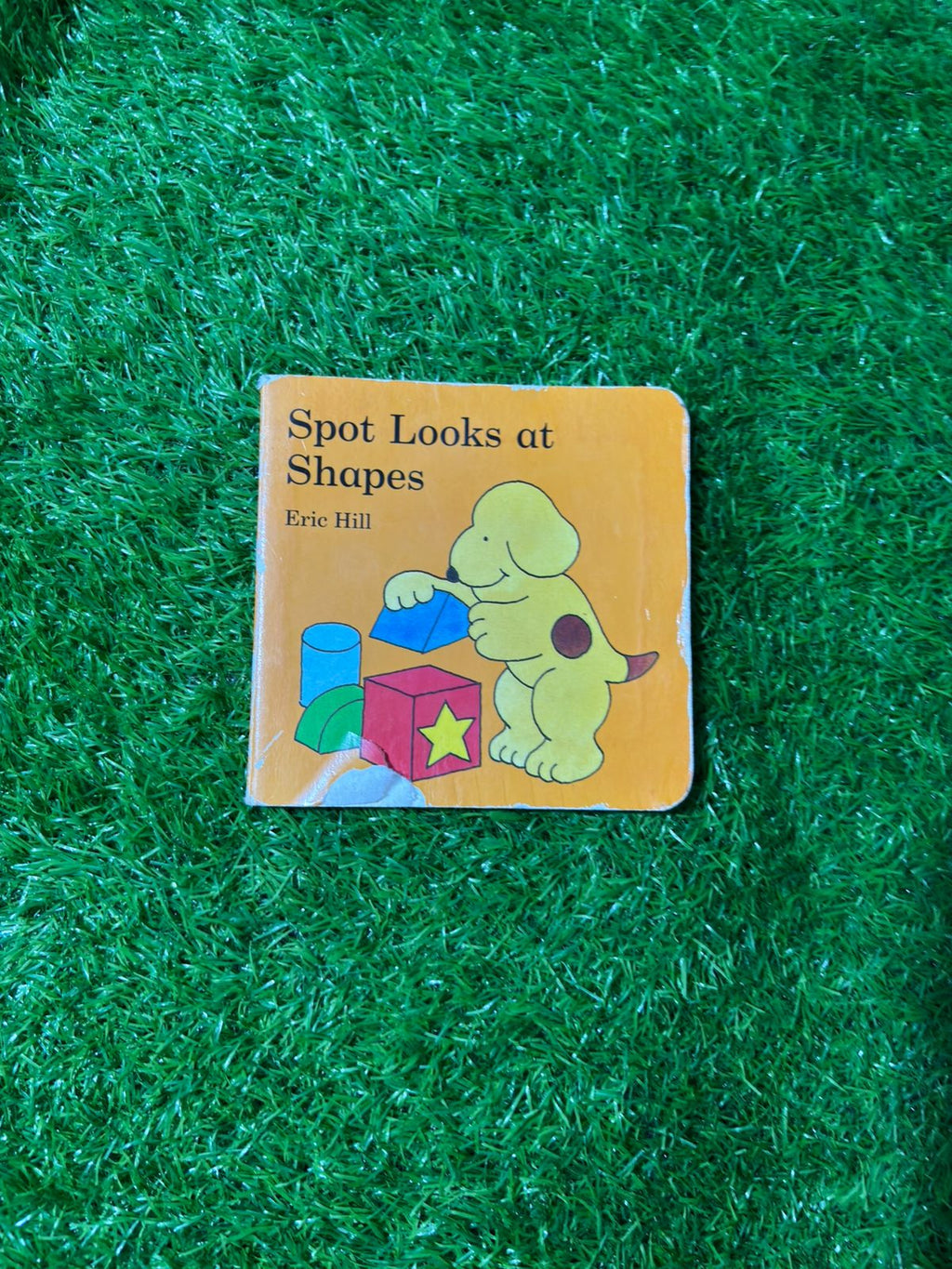 Spot Looks at Shapes