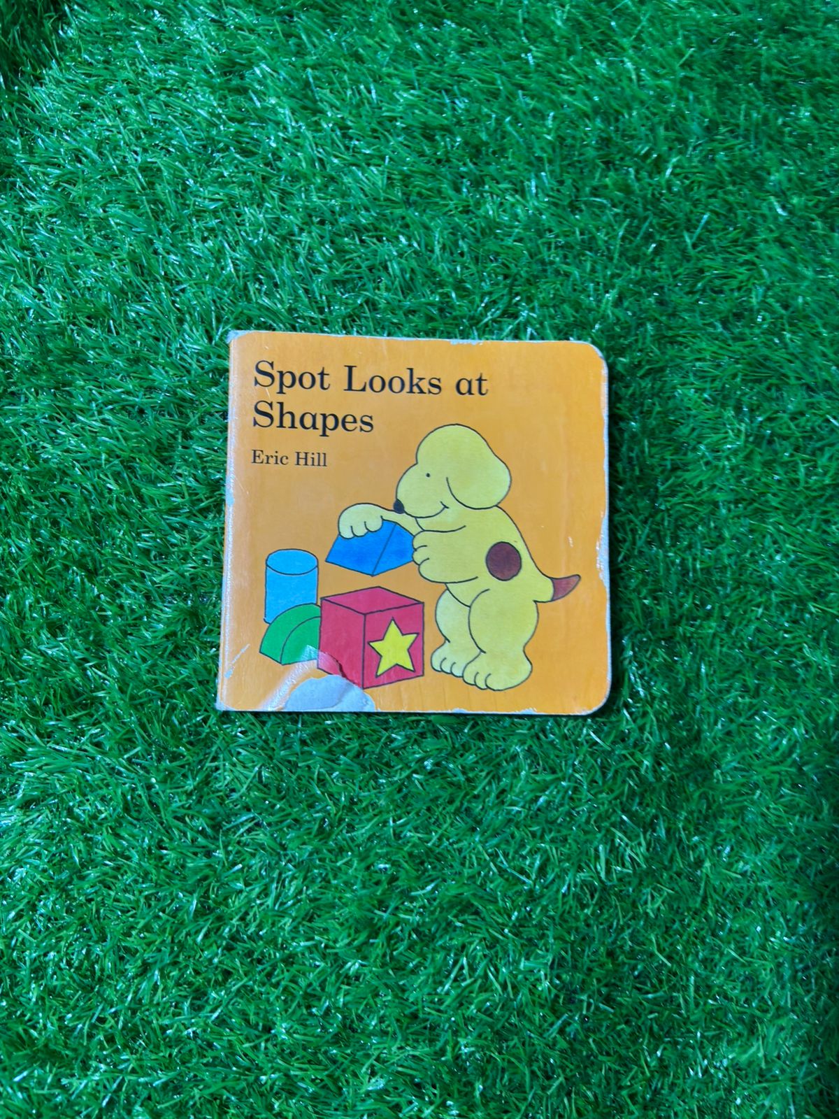 Spot Looks at Shapes