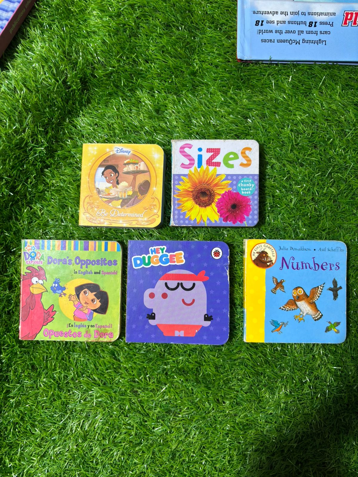 Set of Five Mini Board Books