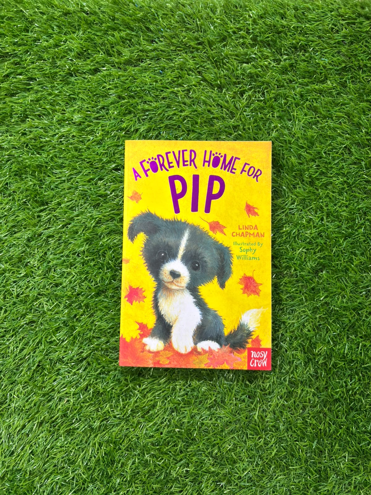 A Forever Home for Pip (Forever Homes)