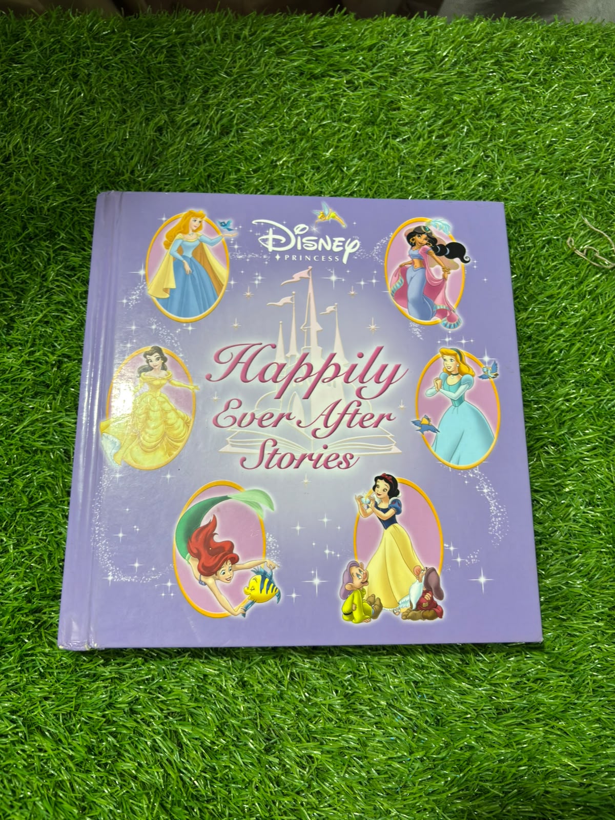 Disney Princess Happily Ever After Stories (Disney Storybook Collections)