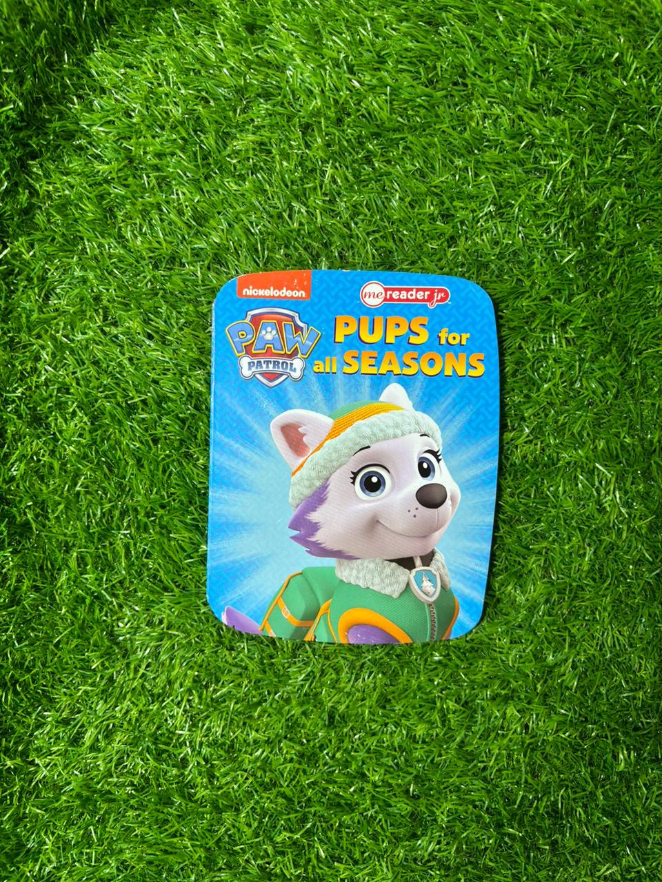Nickelodeon PAW Patrol Pups For All Season