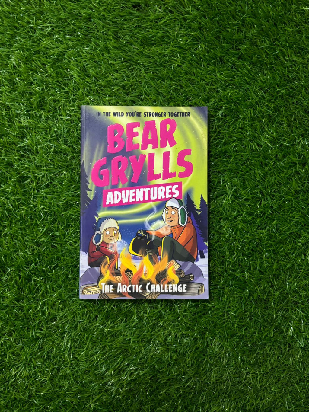 A Bear Grylls Adventure 11: The Arctic Challenge (New)