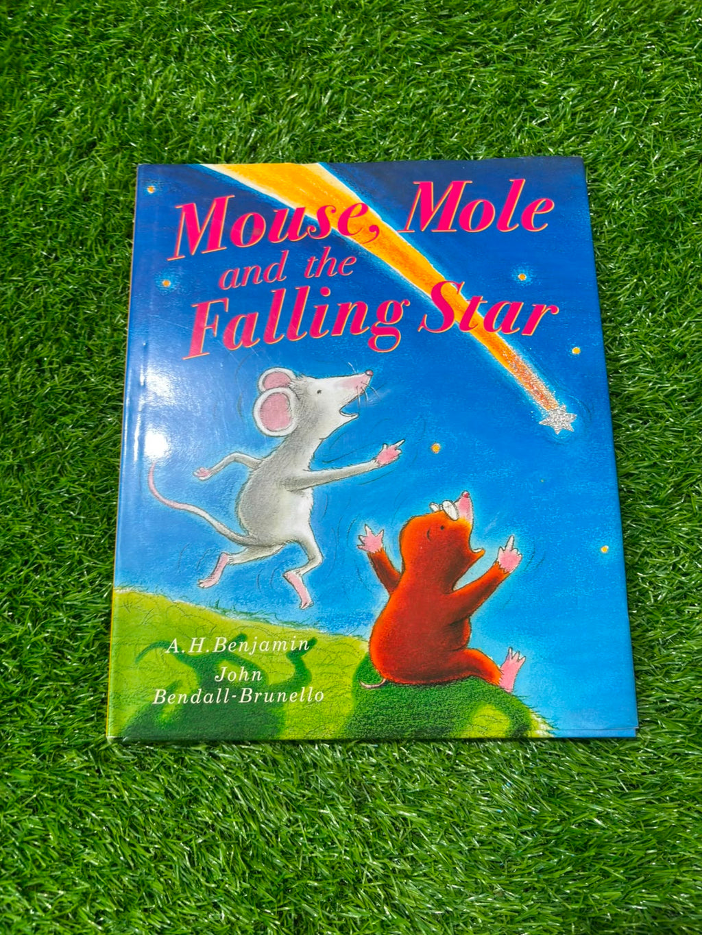 Mouse, Mole and the Falling Star
