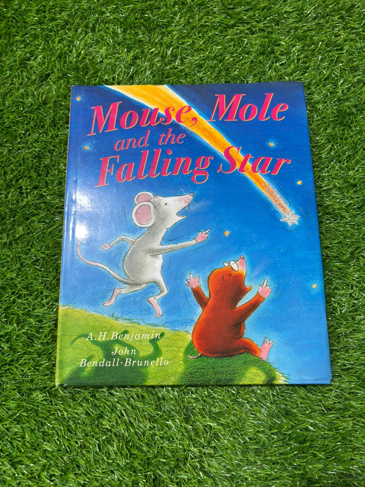 Mouse, Mole and the Falling Star