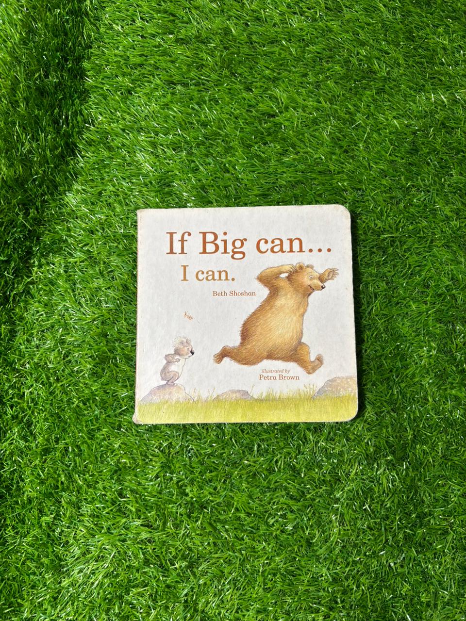 If Big Can, I Can