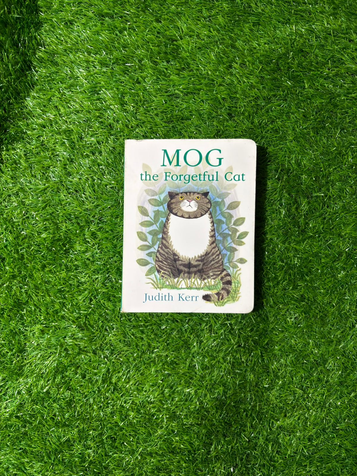 Mog the Forgetful Cat: Everybody’s favourite cat – as seen on TV in the beloved Channel 4 Christmas animation!