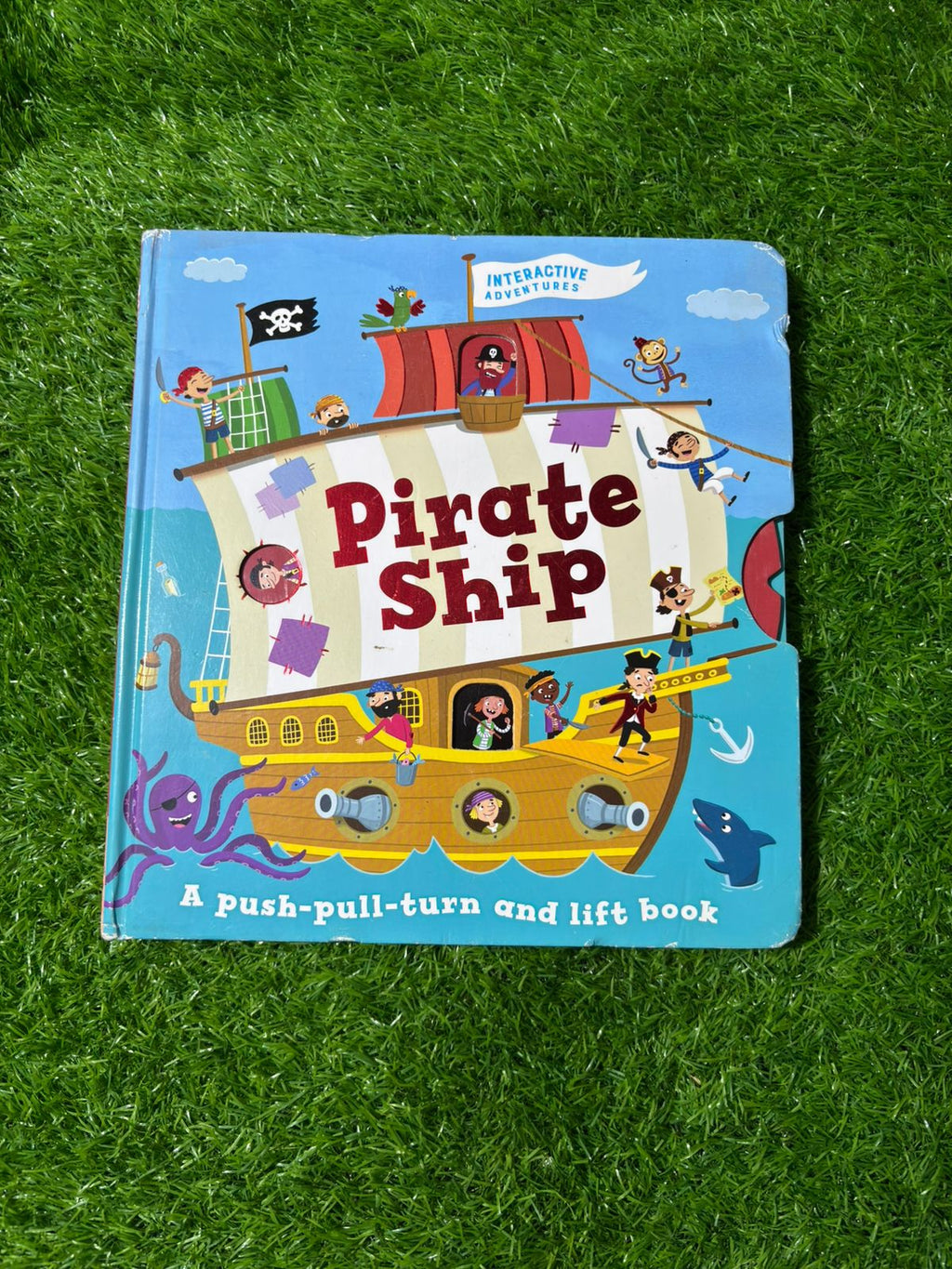 Pirate Ship