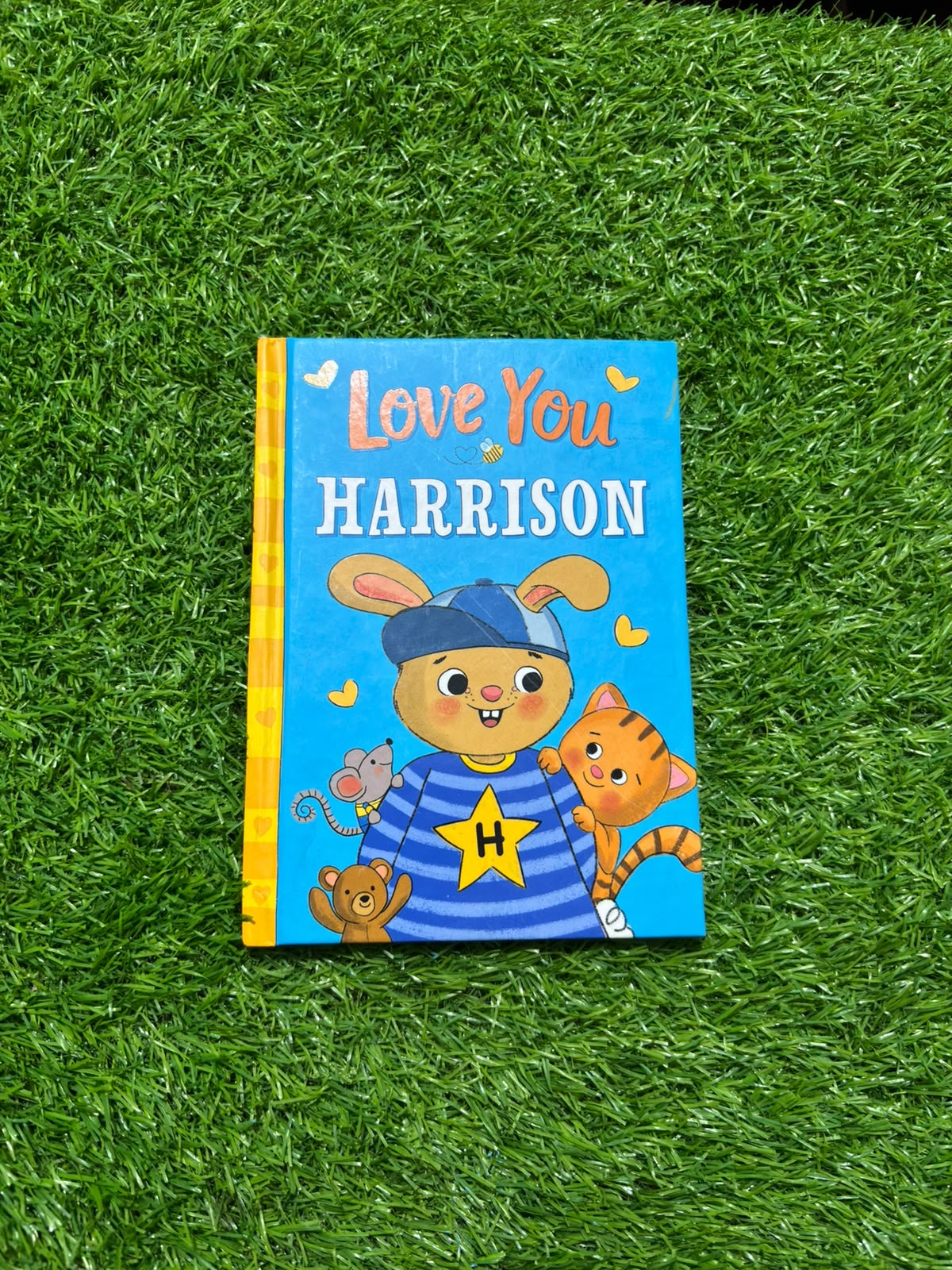 ‘Love You EDWARD’ Personalised Children’s Storybook