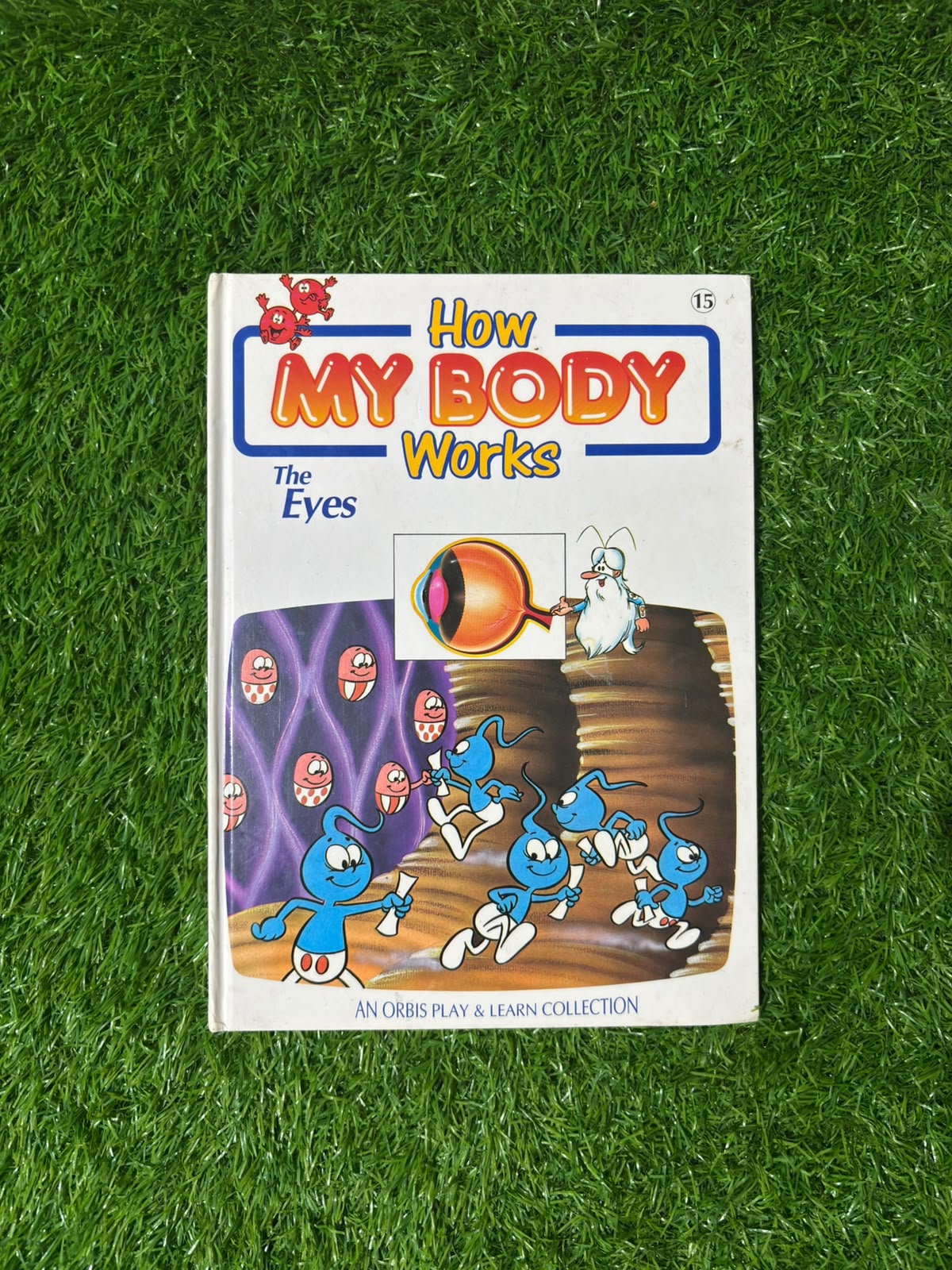 How My Body Works : The Eyes