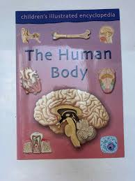 The human body